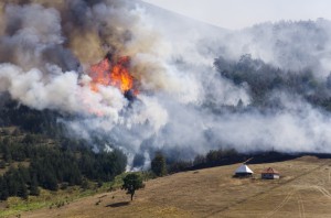 Hemet Wildfire Safety and Prevention