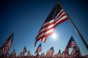 Honoring our Veterans on Veterans Day